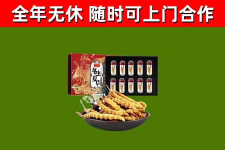 山阳烟酒回收冬虫夏草礼盒.jpg